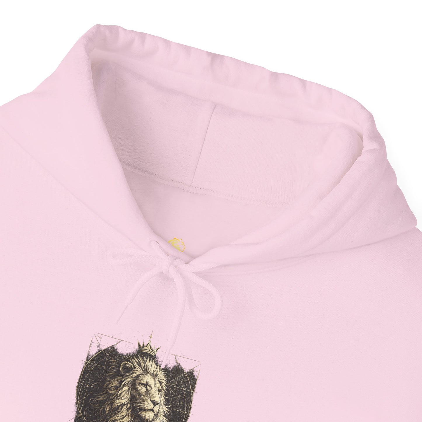 Copy of Unisex Heavy Blend™ Hooded Sweatshirt
