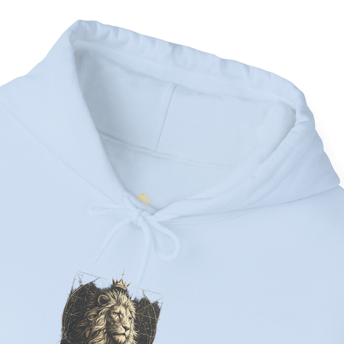 Copy of Unisex Heavy Blend™ Hooded Sweatshirt