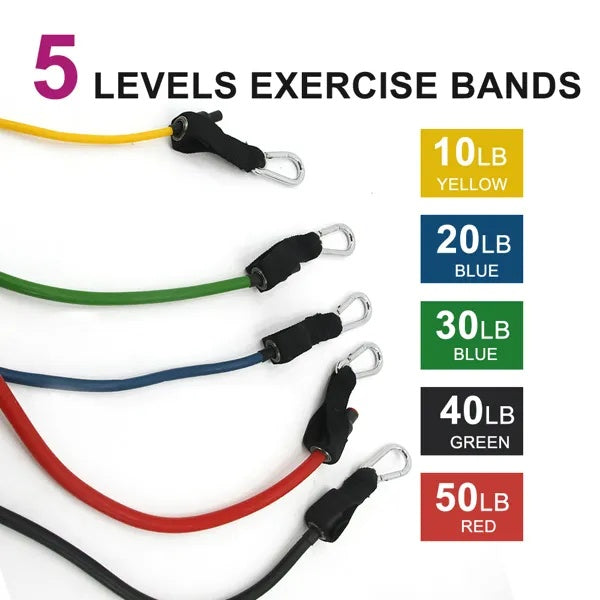 elastic workout bands for full body fitness